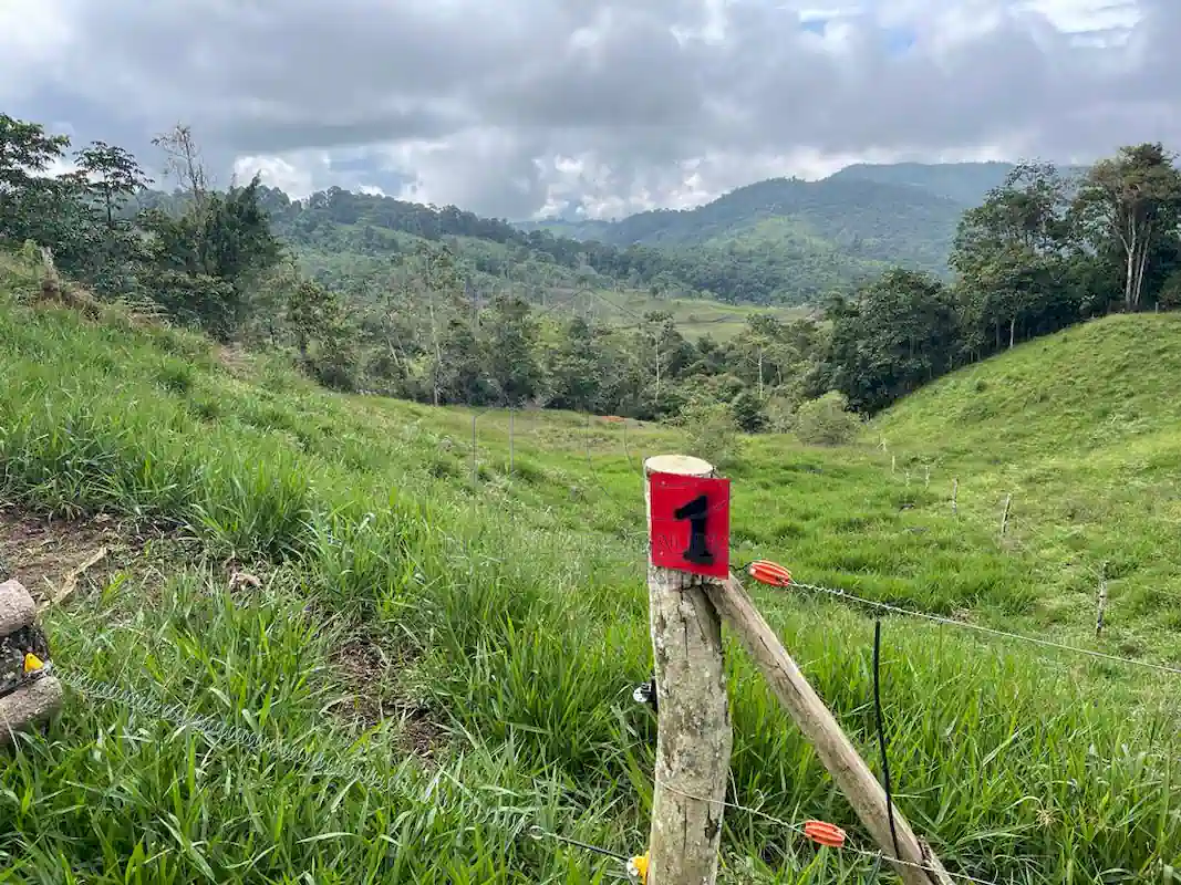 Finca Alto Gaviota